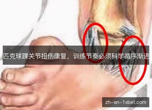 匹克球踝关节扭伤康复，训练节奏必须科学循序渐进